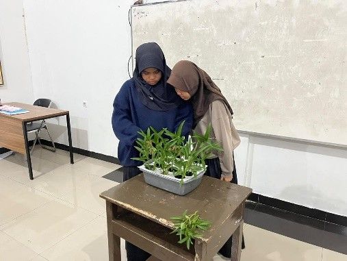 Santri mengamati tanaman sayuran hidroponik bersama pembimbing.